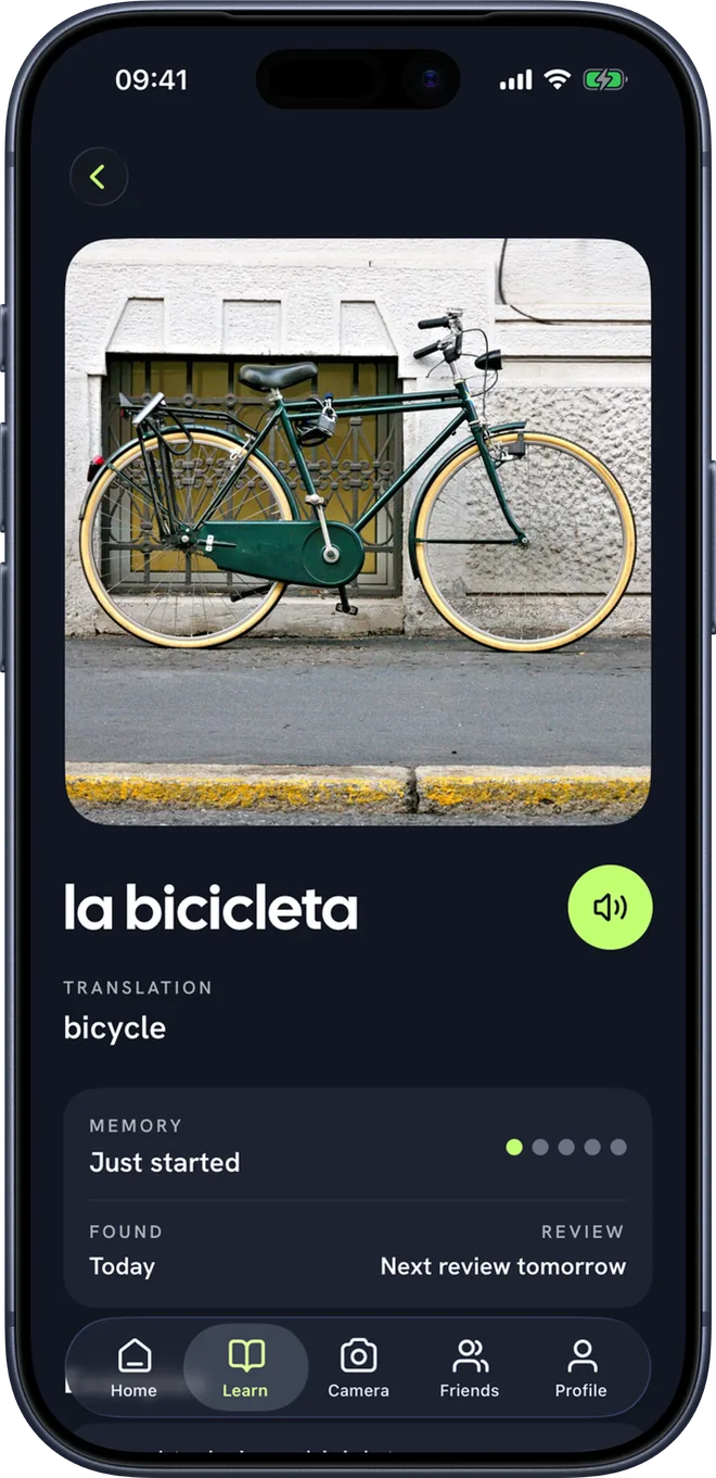 A word's page with its memory gauge